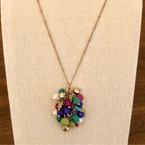 Vera Bradley | Multicolor Beaded Cluster Necklace | 30” Adjustable